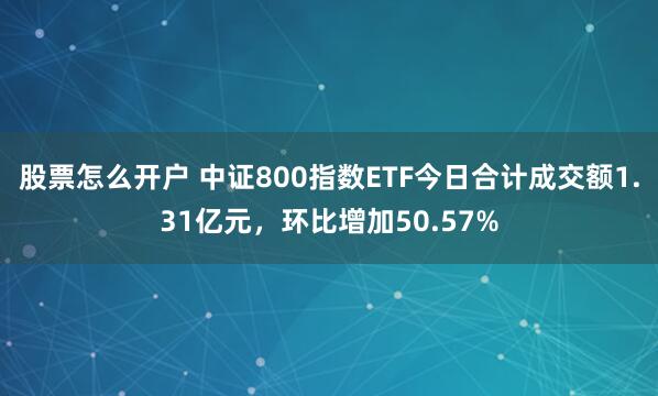 股票怎么开户 中证800指数ETF今日合计成交额1.31亿元，环比增加50.57%