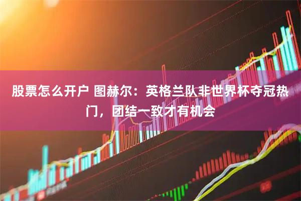 股票怎么开户 图赫尔：英格兰队非世界杯夺冠热门，团结一致才有机会