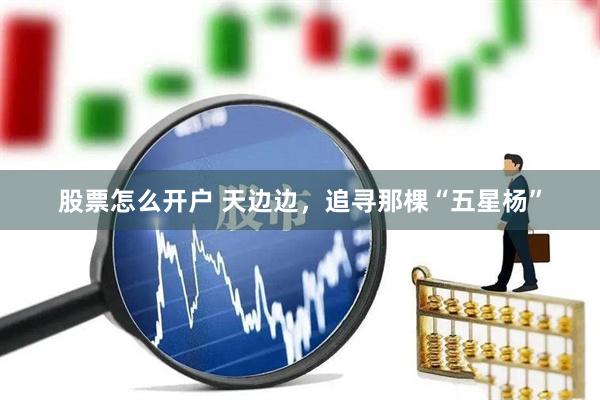 股票怎么开户 天边边，追寻那棵“五星杨”